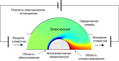 Концентрирование макромолекул и наночастиц в электролите около ионоселективной микрогранулы Концентрирование макромолекул и наночастиц в электролите около ионоселективной микрогранулы